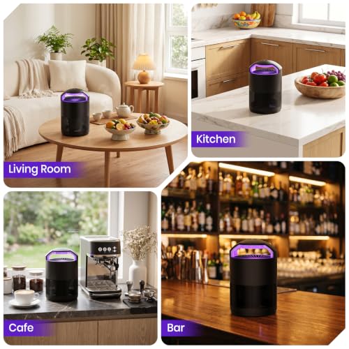 Fruit Fly Traps for Indoors, Catcher & Killer, Indoor Insect Trap