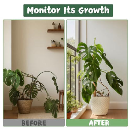 2 Pack 27.56-Inch Bendable Moss Poles for Monstera and Climbing Plants - size: 2 Pack - 70cm