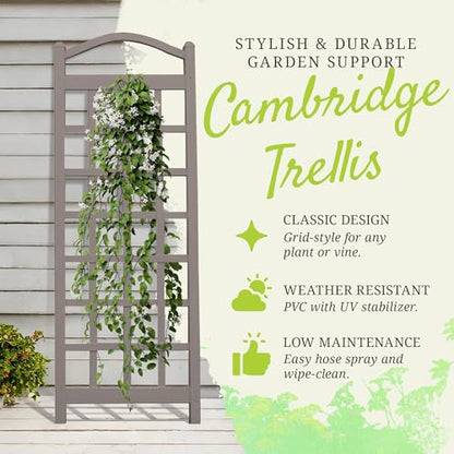 Dura-Trel PVC Garden Trellis for Climbing Vine Plants, Cambridge, Mocha, 28" x 76" - color: Mocha