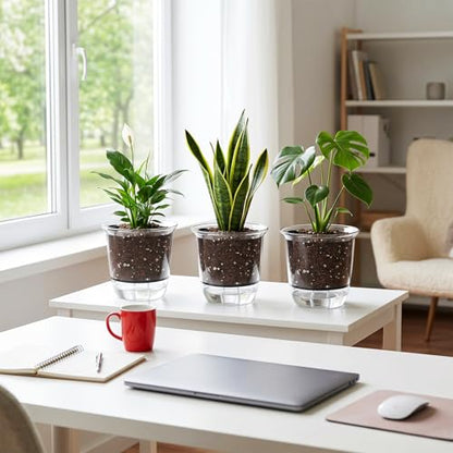 Self Watering Pots Set, Clear Self Planter Pot for Indoor Plants - size: Round, 5Pcs Large