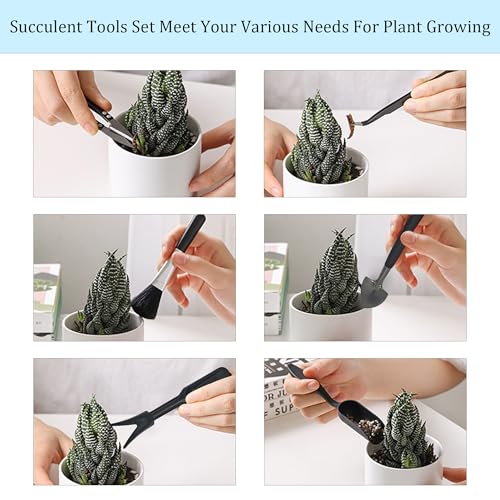 13Pcs Succulent Tools Set Mini Garden Tools Kit for Indoor Bonsai Cactus Care with Pruning Shears Scissors Transplanting Tools for Houseplant