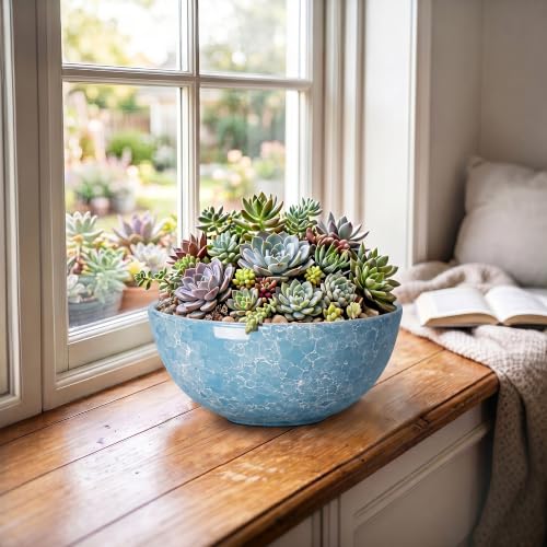 Succulent Pots Ceramic, 8 Inch Bonsai Tree Pots, Droplet Blue - color: Droplet Blue-1, size: 8 Inch