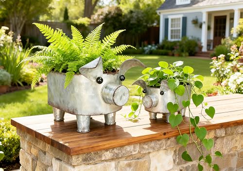 ShabbyDecor Galvanized Metal Rectangular Pig Tray Set of 2, Big and Small - size: Farmhouse Oval Pig