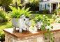 ShabbyDecor Galvanized Metal Rectangular Pig Tray Set of 2, Big and Small - size: Farmhouse Oval Pig