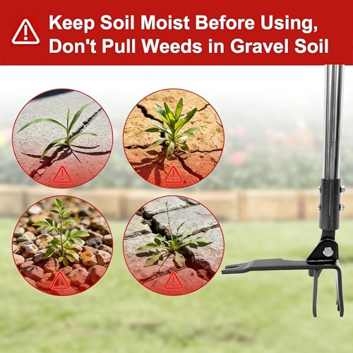 Weed Puller Tool Stand Up Hand Weeder Tool with Adjustable Long Handle, Weed Remover with Steel Head, Remove Weeds Root Easily Without Bending, Pulling or Kneeling for Lawn Garden(6 Claws) - size: 6 CLAWS