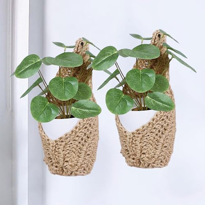 2 Pack Macrame Wall Plant Hanger for 4 inch, Wall Plant Basket - size: Small