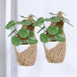2 Pack Macrame Wall Plant Hanger for 4 inch, Wall Plant Basket - size: Small