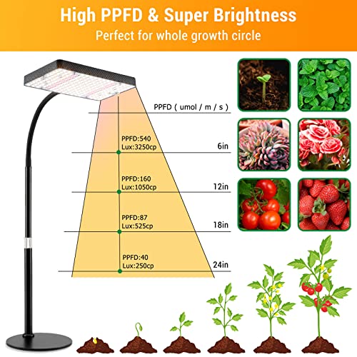 FECiDA Bonsai Grow Light, Table Grow Lights for Indoor Plants Collection - size: 1-Head Switch
