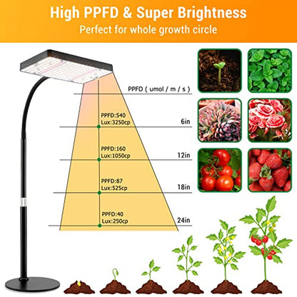 FECiDA Bonsai Grow Light, Table Grow Lights for Indoor Plants Collection - size: 1-Head Switch