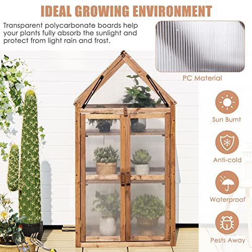 GRAFFY Wooden Cold Frame Greenhouse with 3 Removable Shelves for Outdoor