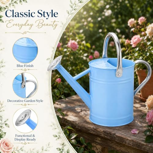 1 Gallon Metal Watering Can for Indoor Outdoor Plants, Blue - color: Blue