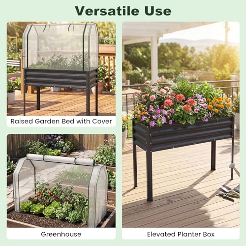 GIANTEX Raised Garden Bed with Legs & Greenhouse Cover, 44x22x60 Elevated Metal Planter Box with Roll-up Door, Outdoor Mini Greenhouse for Vegetable Flower Herb Patio Balcony (Black,1) - color: Black
