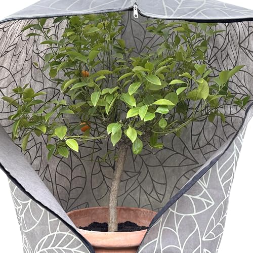 Plant Covers Freeze Protection 32"x47" | 2-Pack Winter Frost Blankets - size: 32 x 47 In