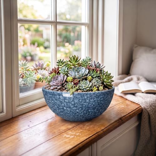 Succulent Pots, 8 Inch Ceramic Bonsai Pots, Bowl Planter, Scale Blue - color: Scale Blue-1, size: 8 Inch