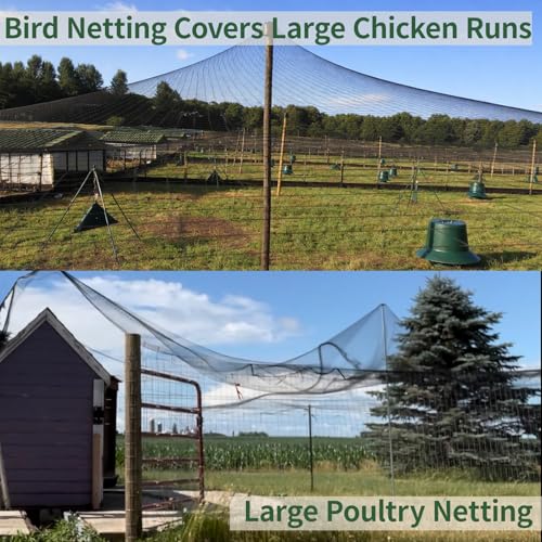 25x100ft Bird Netting for Chicken Coop, 1" Mesh Chicken Netting Cover - size: 25x100FT-1"