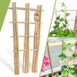 10 Pack 16" Bamboo Trellis for Climbing Plants, Fan-Shaped Plant Support - size: 16 Inch