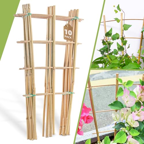 10 Pack 16" Bamboo Trellis for Climbing Plants, Fan-Shaped Plant Support - size: 16 Inch