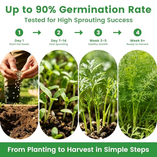 35 Herb Seeds Variety Pack, 16,400+ Non-GMO Heirloom Seeds for Planting