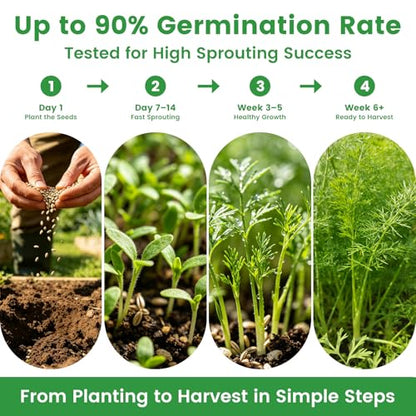 35 Herb Seeds Variety Pack, 16,400+ Non-GMO Heirloom Seeds for Planting