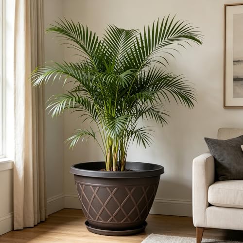 4 Pack 16 Inch Large Plastic Plant Pots with Drainage Holes & Saucers - size: 16 Inch - 4Pack