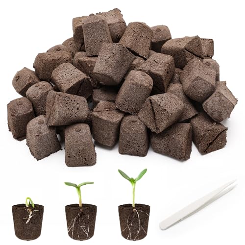 50P Seed Starter Sponge for Germinate Quickly Rapid Rooter Plug