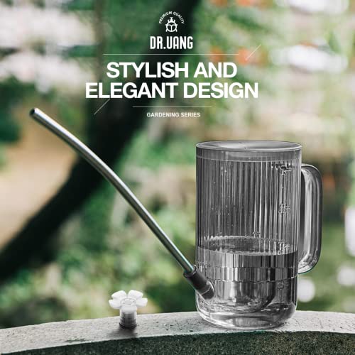Small Watering Can Indoor Plants with Long Spout (1L, Gray) - color: Gray