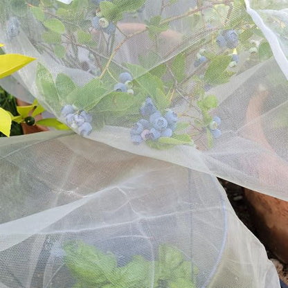 Garden Netting Cover for Bird, Insect & Bug Protection | 10x20 FT 2-Pack - size: 10x20 FT (Pack of 2)