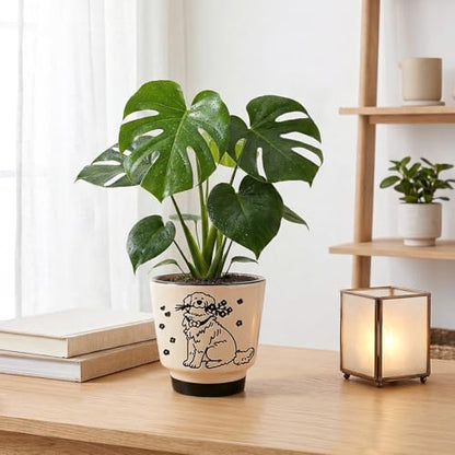 STHIE Ceramic Planters with Drainage Holes, 5 Inch Pots for Indoor Plants - color: Tr-goldflower04