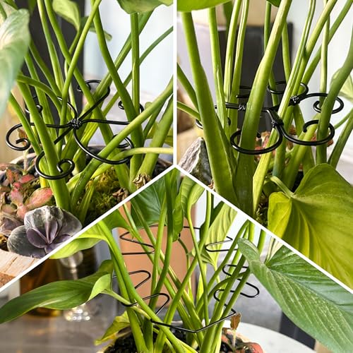 4PCS Metal Heart Stakes for Indoor Plants, 4.1 * 3.7 in Stackable Monstera Stem Support Hook for Growth, Stabilizer for Leaves & Adjustable Clamp Set Accessories for Climbing Plants (Heat) - style: C 4.1 * 3.7 in