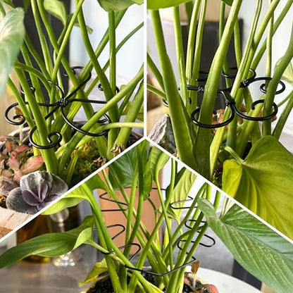 4PCS Metal Heart Stakes for Indoor Plants, 4.1 * 3.7 in Stackable Monstera Stem Support Hook for Growth, Stabilizer for Leaves & Adjustable Clamp Set Accessories for Climbing Plants (Heat) - style: C 4.1 * 3.7 in