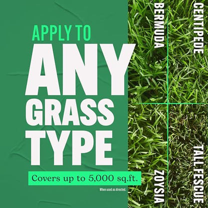 Scotts Turf Builder Lawn Food, 15.8 lbs. - size: 5,000 sq. ft.