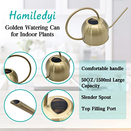 Hamiledyi 50 oz/1500 ml Stainless Steel Watering Can with Long Spout - color: Golden