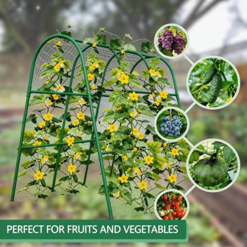 Garvee Garden Arch Trellis for Raised Beds, 4 FT - size: 4x4x2 Ft
