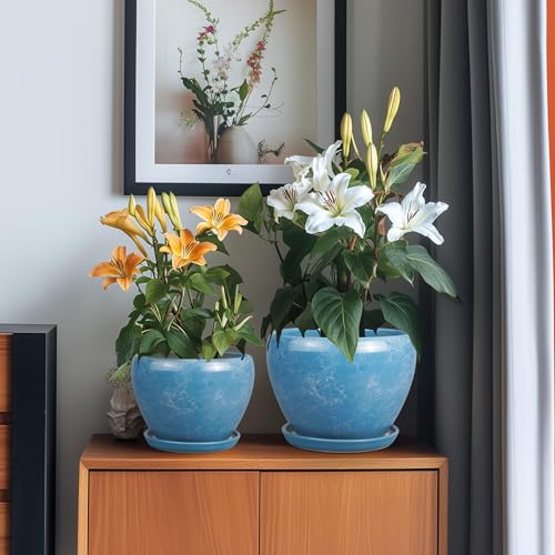 Ceramic Plant Pots, 10+8+6 Inch Ceramic Planters Indoor, Blue - color: Sky Blue