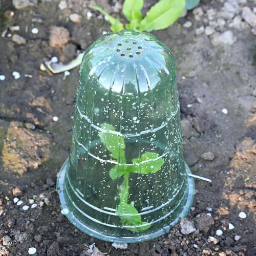 10 Pack Garden Cloches for Plants - color: Green 10pack