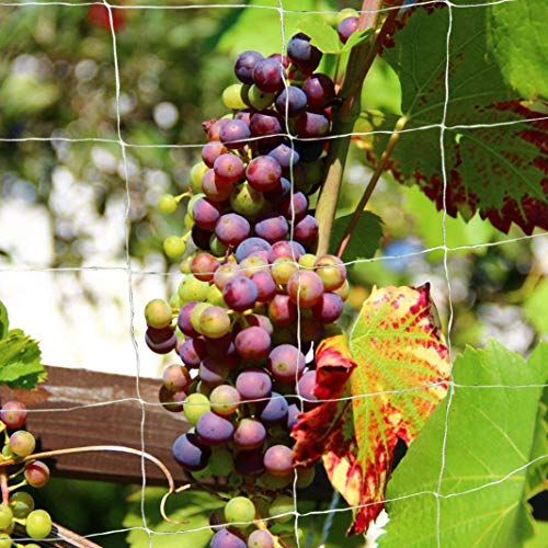 Tcamp Heavy-Duty Polyester Plant Trellis Netting 5 x 15ft (1 Pack) - size: 6" Mesh (5*15Ft)