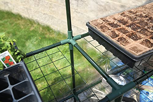 Miracle-Gro Walk-in Greenhouse, Removable Shelves, Transparent, 4'8" Square - size: 4'8" x 4'8" x 6'5" - Translucent
