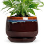 Ceramic Planter, 7 Inch Plant Pots with Drainage, Brown-Blue - size: 7 Inch, style: Brown-blue