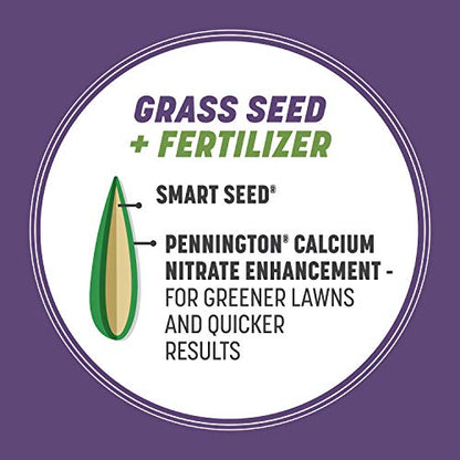 Pennington Smart Seed Dense Shade Mix Grass Seeds for Lawn, 3 Lb - size: 3 LB