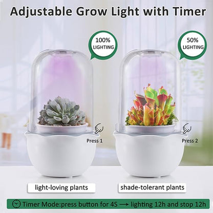Smart Venus Fly Trap Terrarium Pot with Timer&Fan, Mini Plant Terrarium Kit