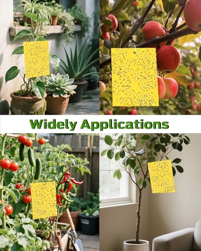 Gnat Sticky Traps for Plants -25 PCS + Kids Gardening Gloves - color: Color D-25PCS