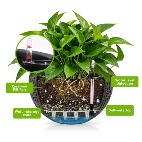 2 Pack 13.5" Self-Watering Hanging Baskets, Brown - color: Brown