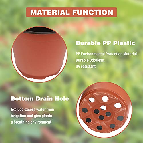 KINGLAKE 50 Pcs 6" Plastic Plants Nursery Seedlings Pot/Pots Flower Plant Container Seed Starting Pots for Plant - color: Brown