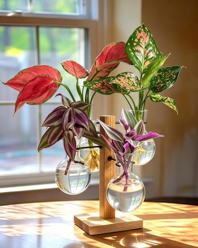 Plant Propagation Stations with Wood Stand, 4 Vases Bulb Shape - color: Bulb