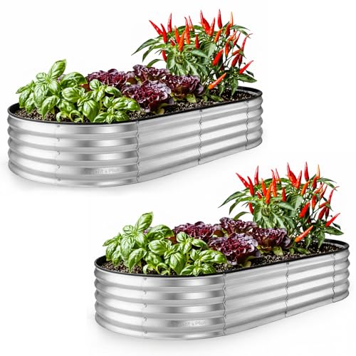 Plant & Plot Galvanized Raised Garden Beds Outdoor // 6×3×1 ft (2-Pack) Planter Raised Beds for Gardening, Vegetables, Flowers // Large Metal Garden Box // Patented Tool-Free Design (Silver) - color: Silver, size: 6×3×1 Ft (2-pack)