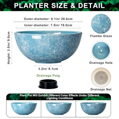 Succulent Pots Ceramic, 8 Inch Bonsai Tree Pots, Droplet Blue - color: Droplet Blue-1, size: 8 Inch