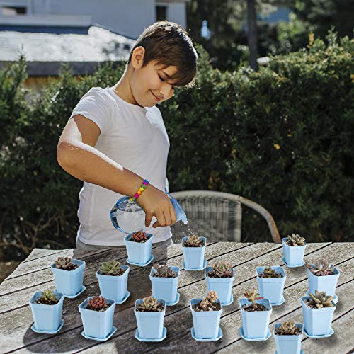 30Pcs 3" Plants Nursery Pot with 30 Saucers Blue, Square Planting Pots - color: Blue
