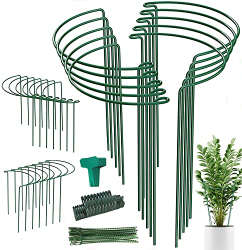 24 Pack Plant Support Stake, Half Round Metal Garden Plant Stake, Green Plant Support Ring, Border Support with Plant Lables & Plant Clips for Outdoor Indoor Plants, Vegetable, Flowers - color: 16x10inch-24Pack