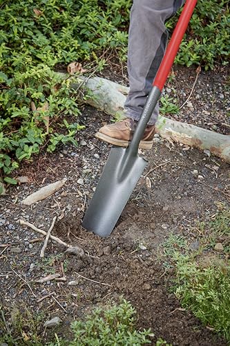Corona Clipper Closed-Back 14-Gauge Drain Spade SS 62020