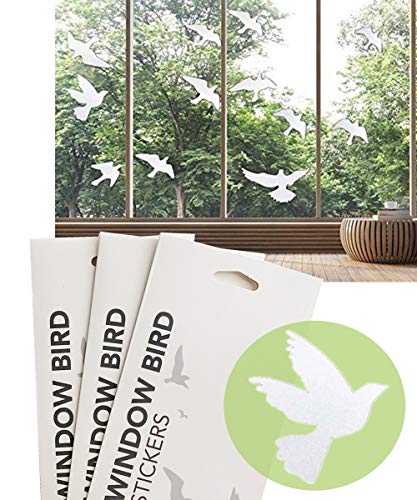 Anti Collision Window Bird Stickers Decals Glass Door Protect and Save Bird Strikes (Transparent 36 Pcs) - color: Transparent-36 Pcs